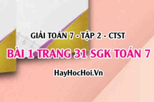 Giải bài 1 trang 31 Toán 7 Tập 2 SGK Chân trời sáng tạo